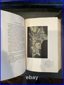 Luther Burbank His Methods and Discoveries, Autographed, 1st Ed, 1914 RARE